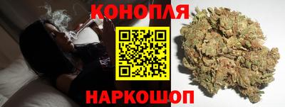 гашик Гатчина
