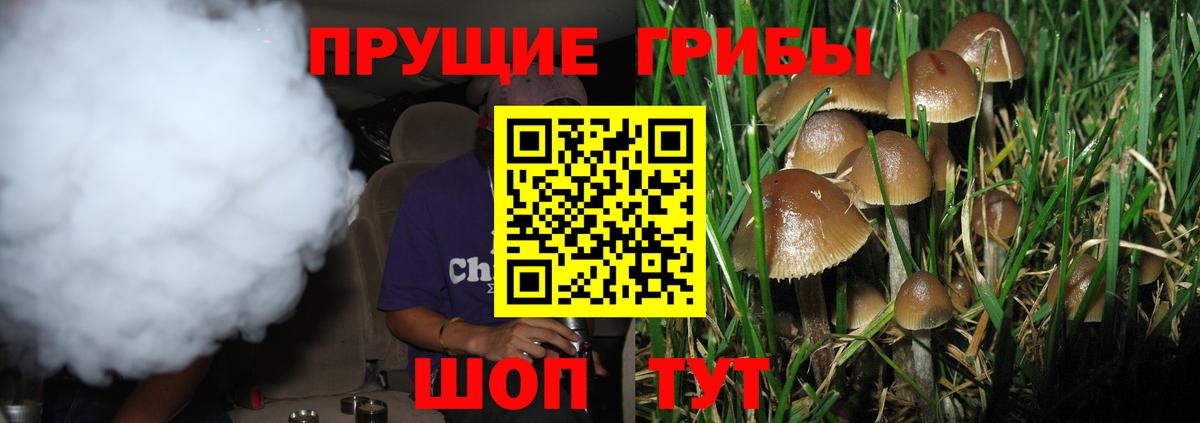 Псилоцибиновые грибы Psilocybe  закладки  Джанкой  Галлюциногенные грибы мухоморы  Вход с VPN 